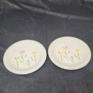 2 STUDIO NOVA VILLAGER FRESH MINT Dinner Plates, JF004